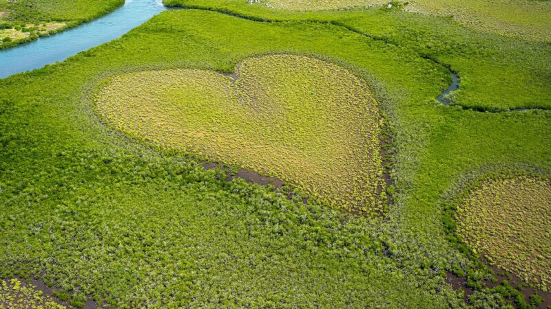 Giornata mondiale dell’ambiente: benefici per la salute sessuale
