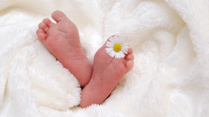 Due genitori scelgono il nome “ABCDE” per la figlia